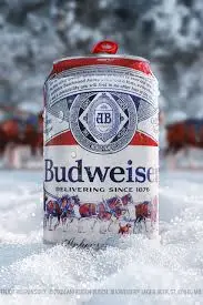 Texas Roadhouse Happy Hour 2025 (Updated) | Special Drinks and Appetizers 5 Budweiser Beer